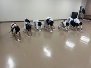 ¿ꥹݡľǯĤųưԤޤ