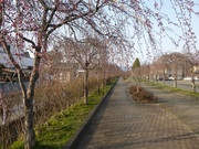 塢Ⱥɤγ־Τ餻ޤ