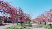 ߤΤͻҤΤ餻ޤ